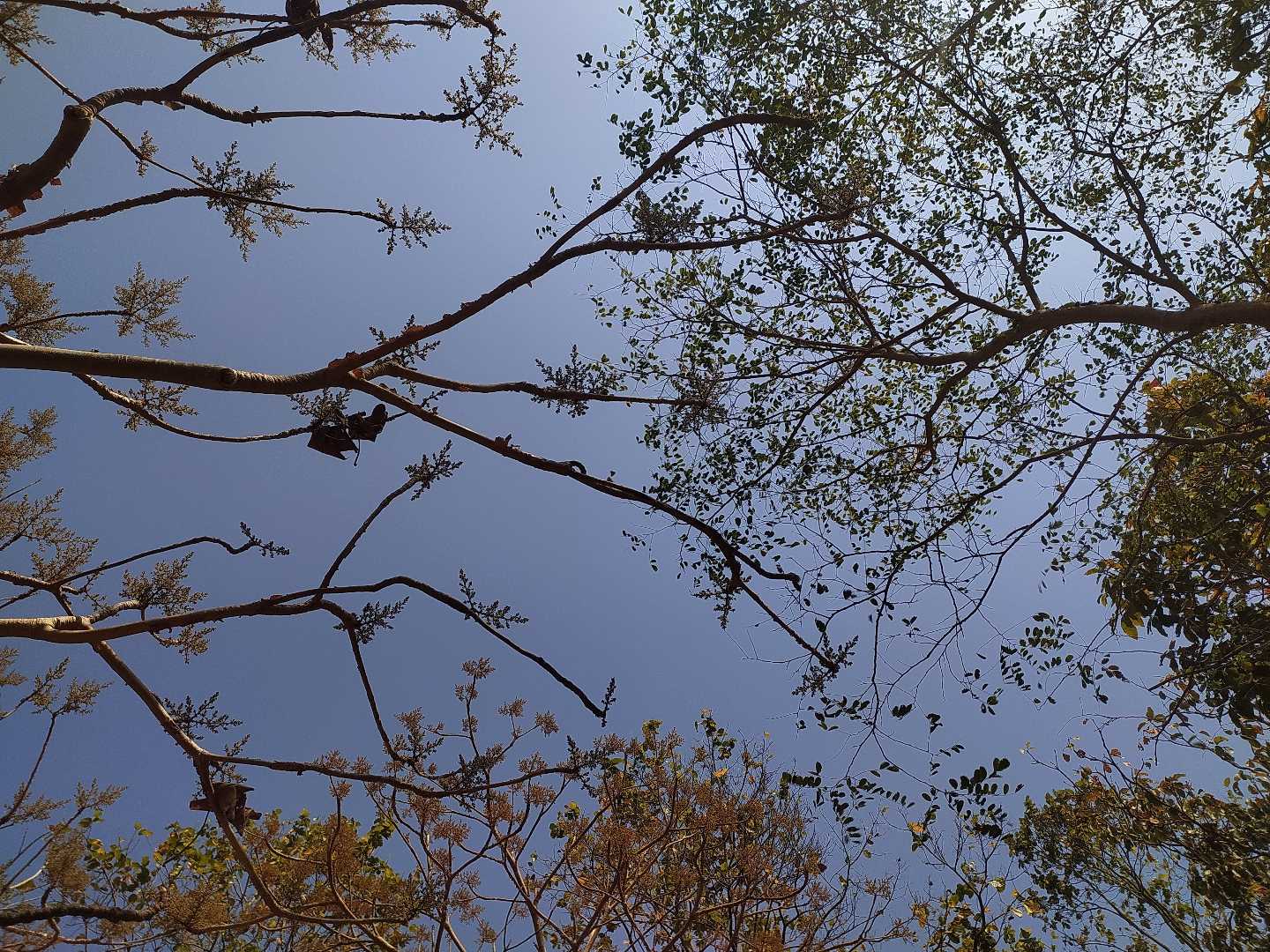 Nature Photography | 06