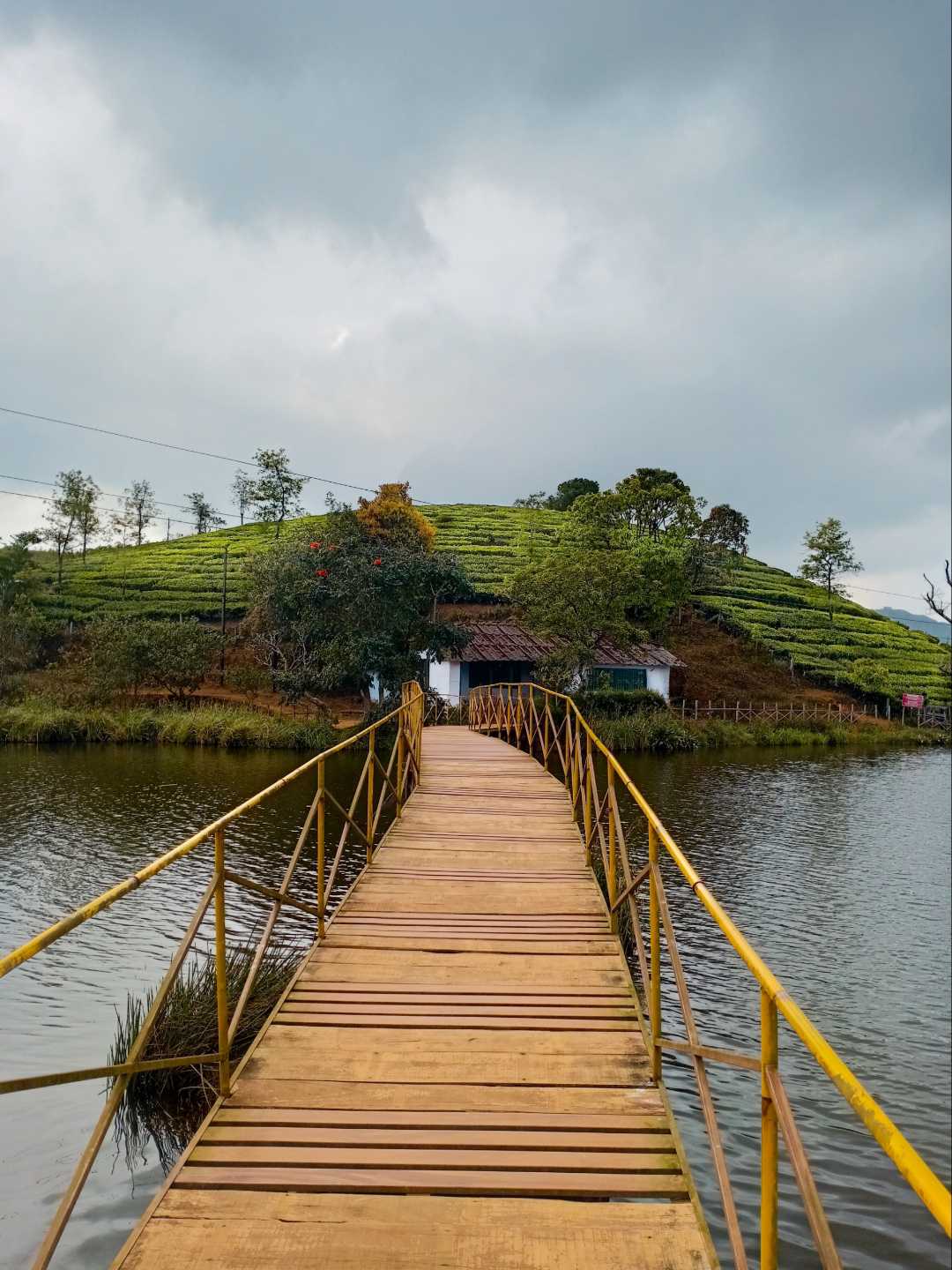 vagamon ❤️