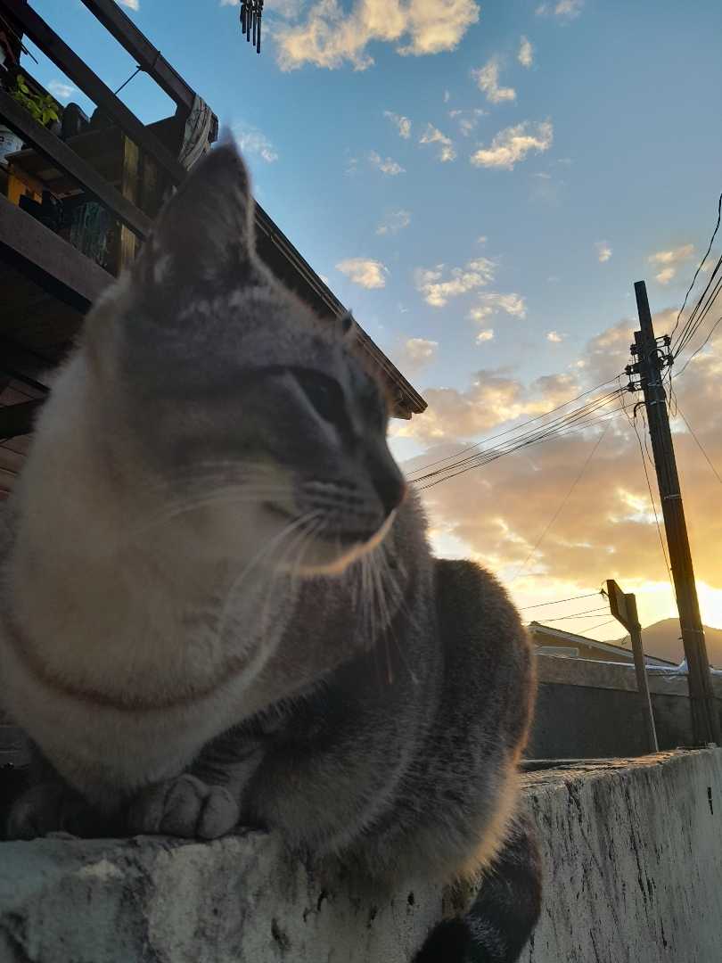 por do sol 