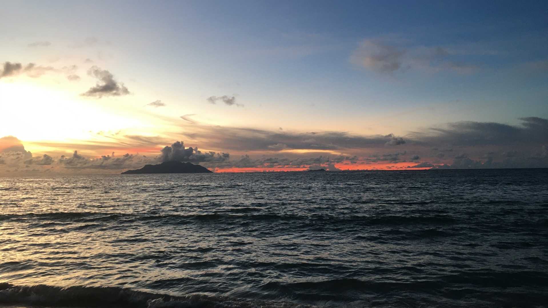 Time for beach therapy!