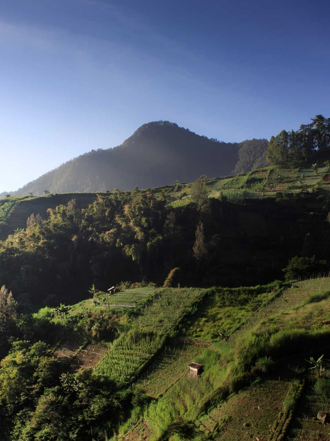 Wisata Wonomulyo