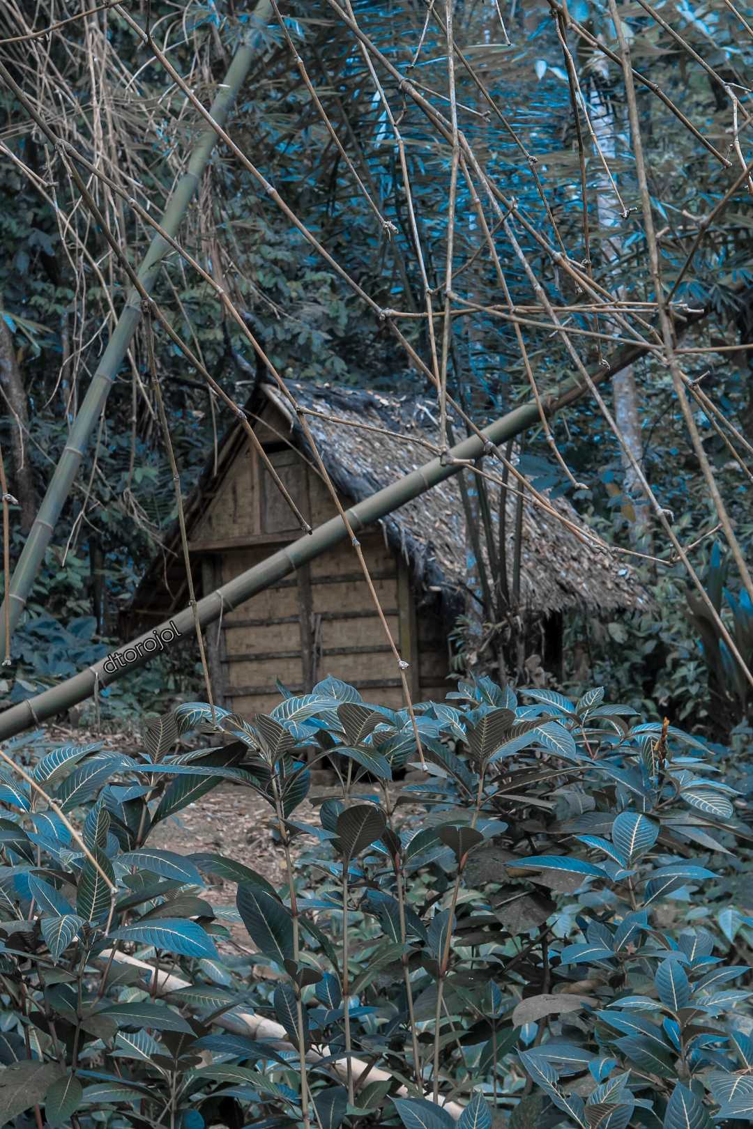 Trip Baduy, Lebak Banten