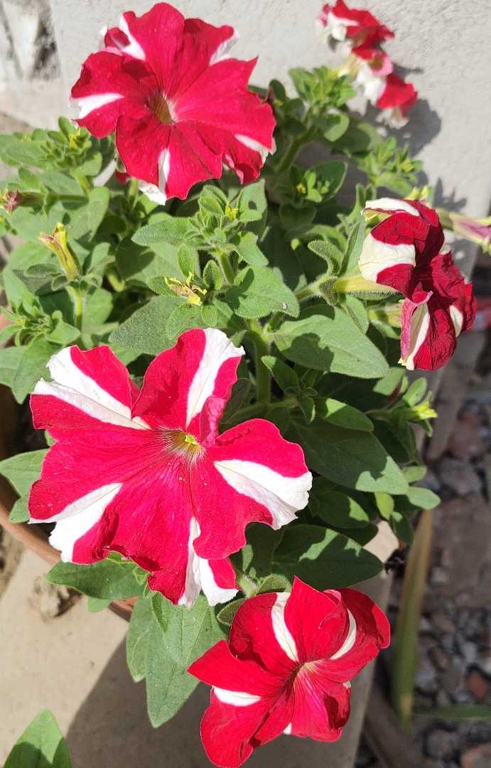 💓