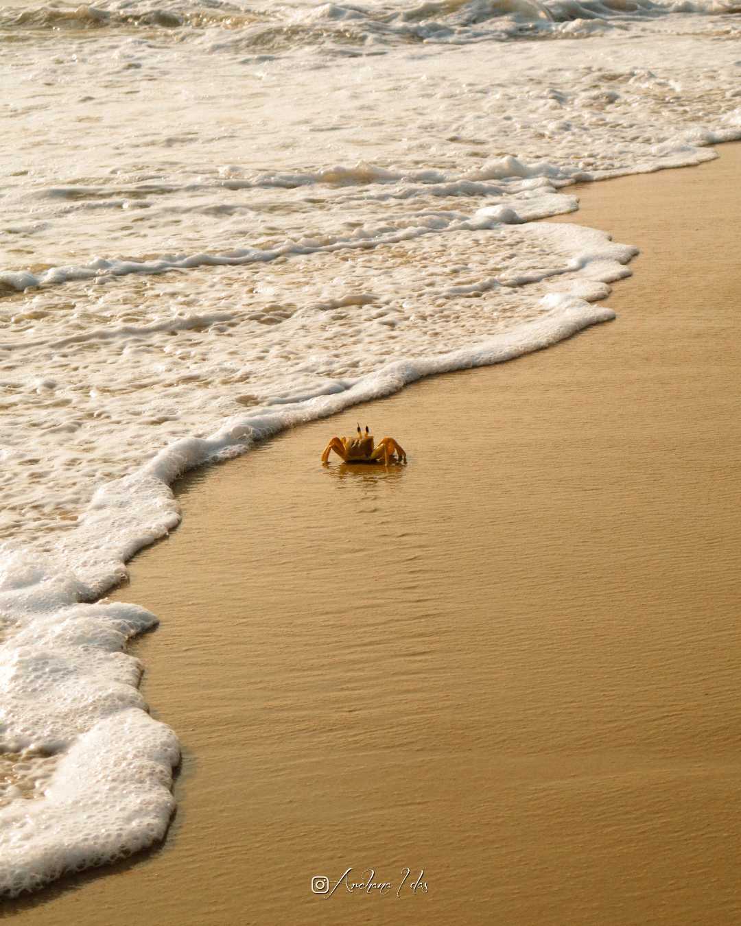 favourite 💛