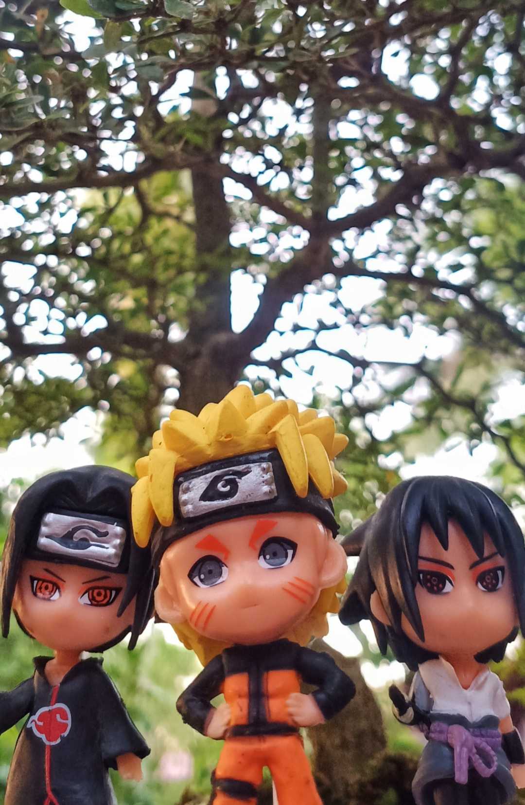 Konoha📍