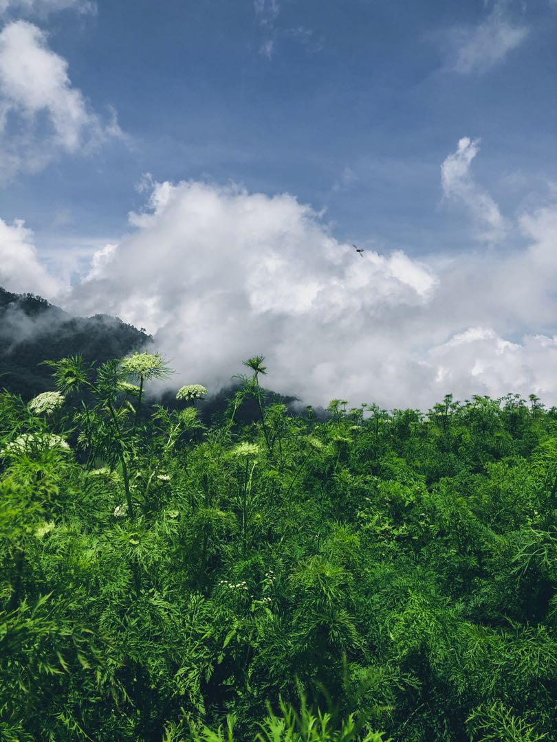 Brakseng Cloud
