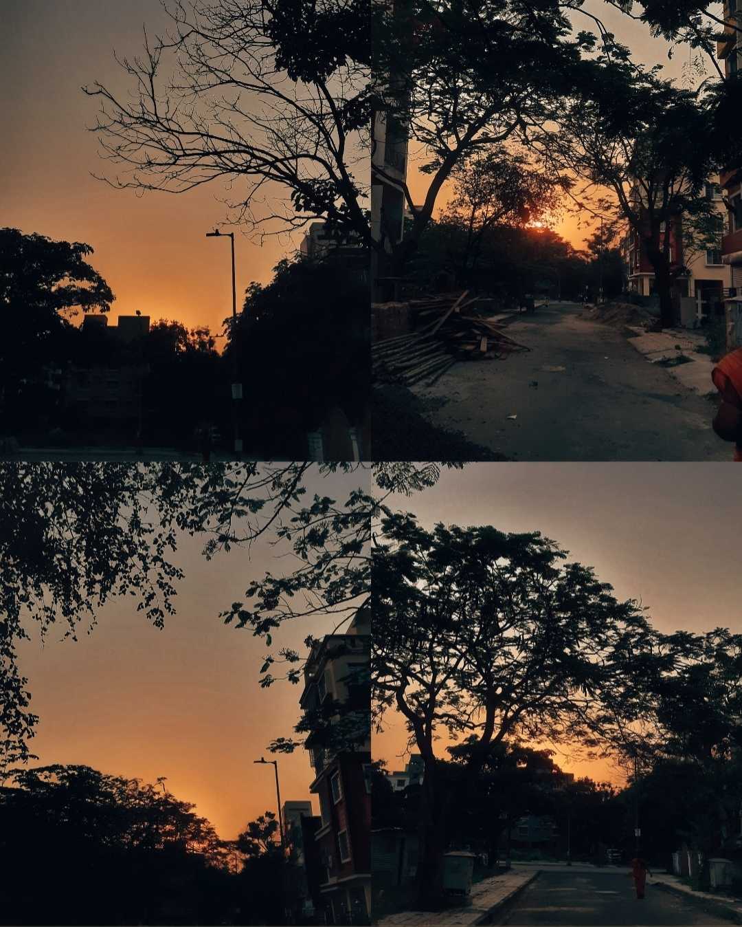 Mobile photography 