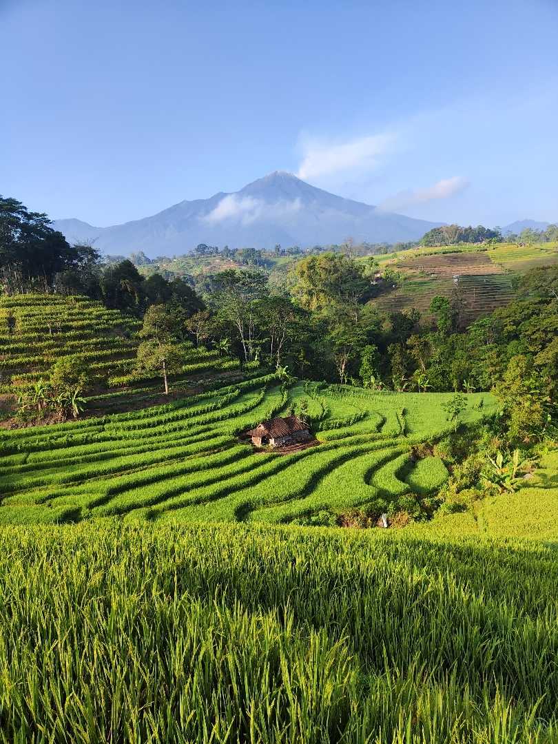 alam desaku