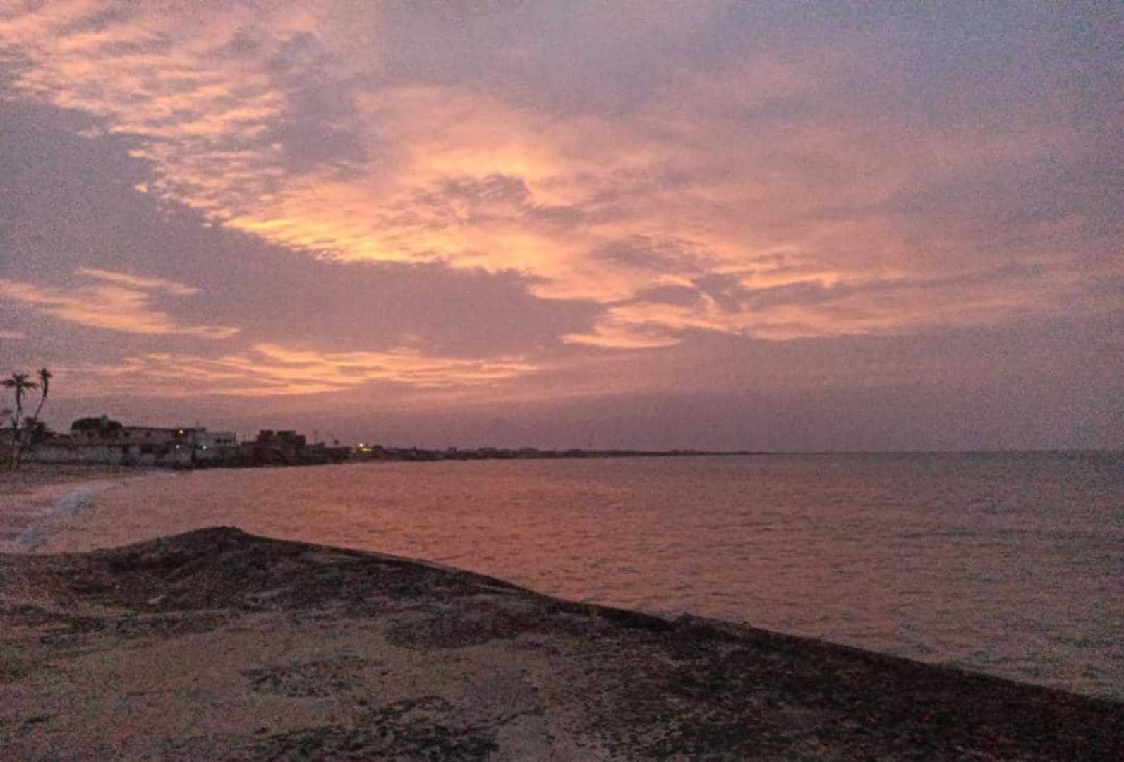 Falcón