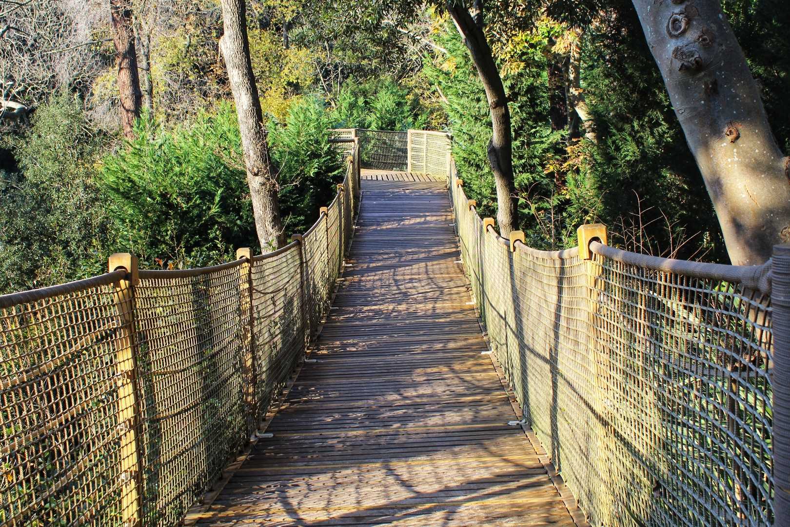 walk through the shadows