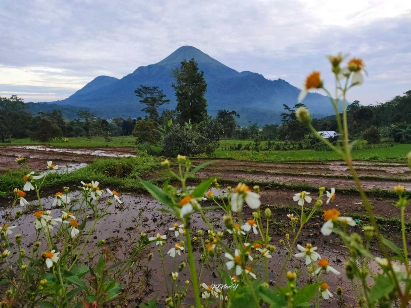 Gunung Penanggungan 