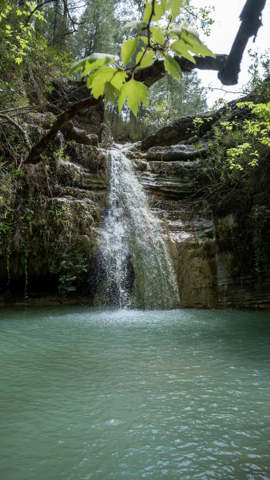 Çobanpınarı Şelalesi 🌲