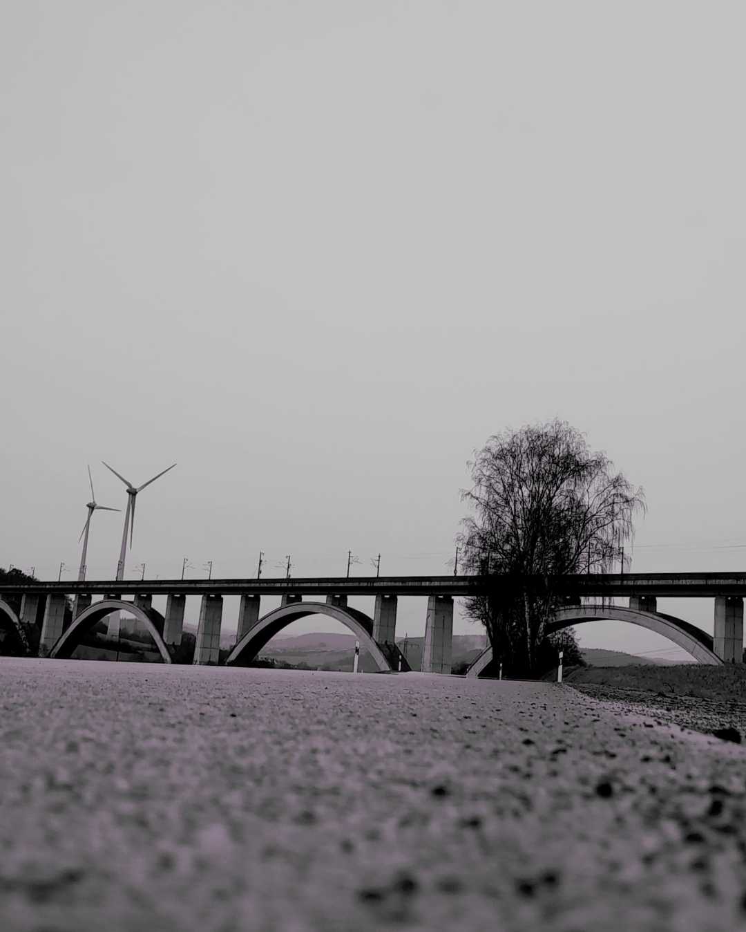 bridge