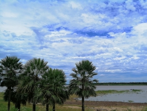 My country - Paraguay