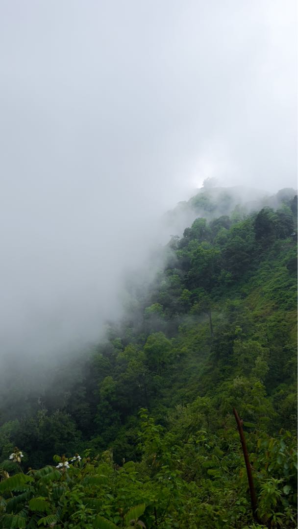 Kabut Lembut
