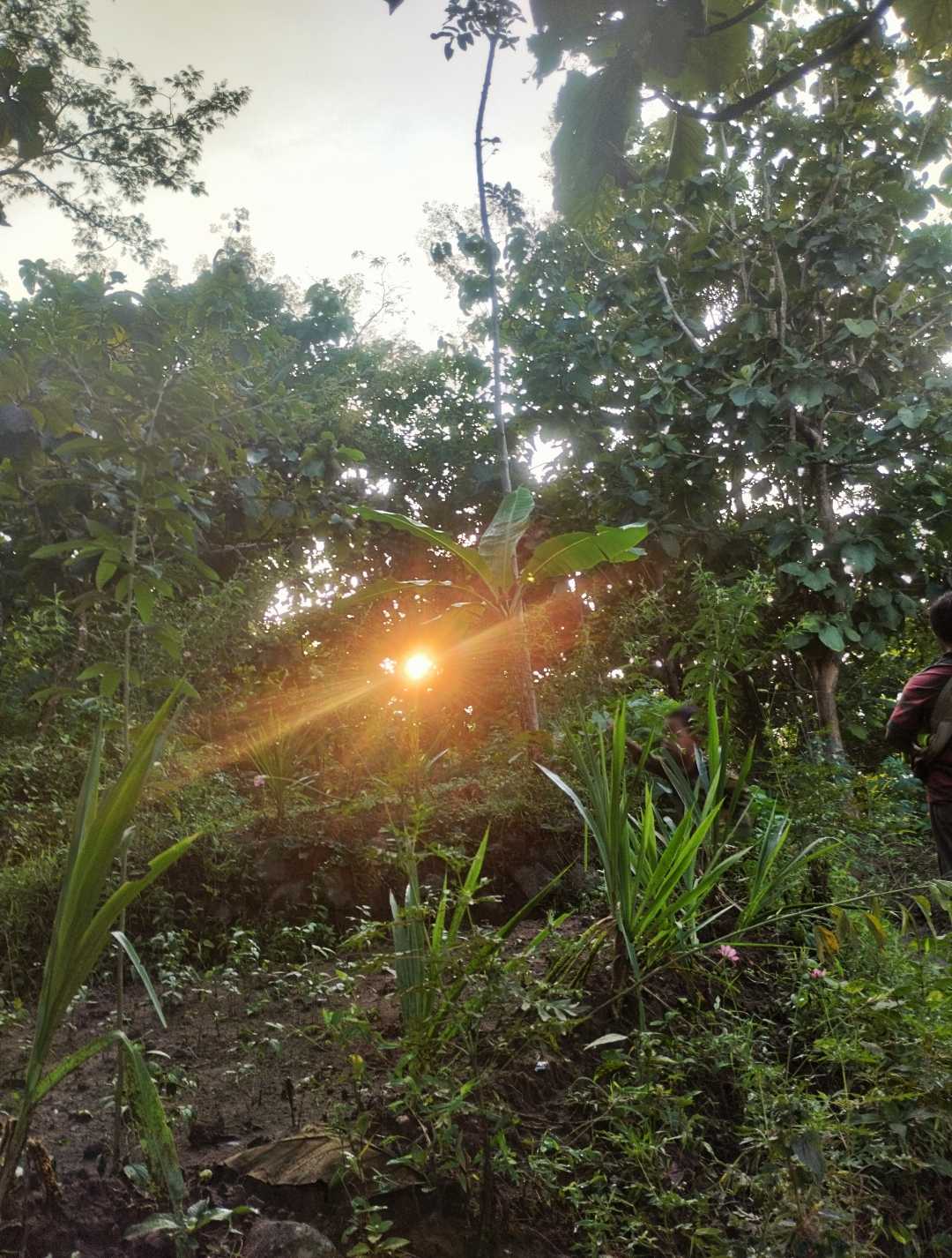 Sun Rise