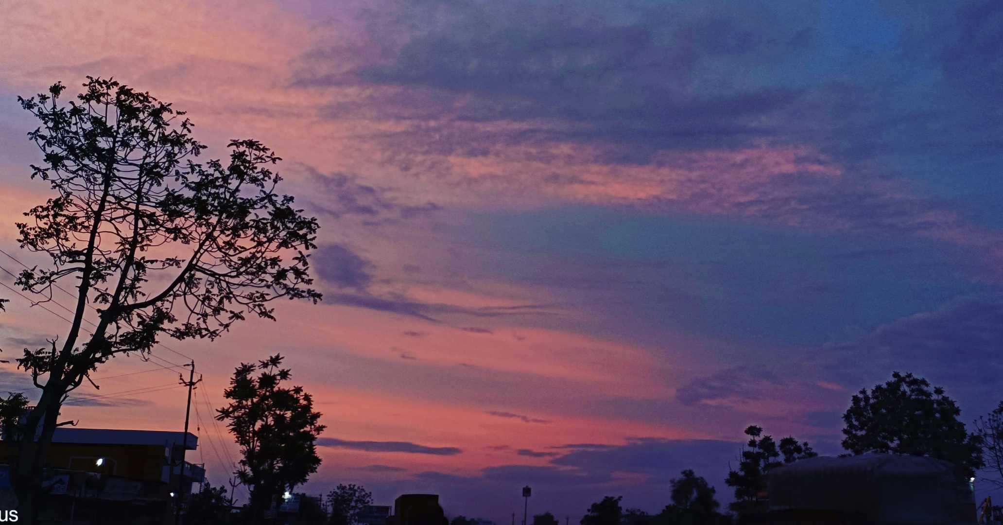 sunset love 