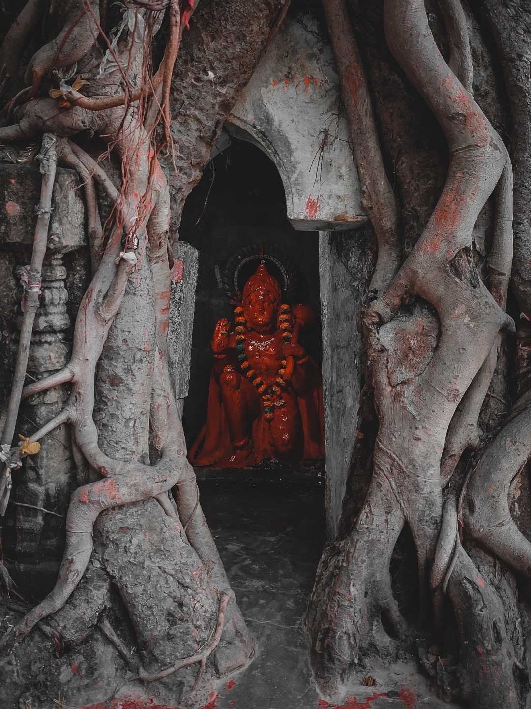 Bajrangbali Mandir inside a tree