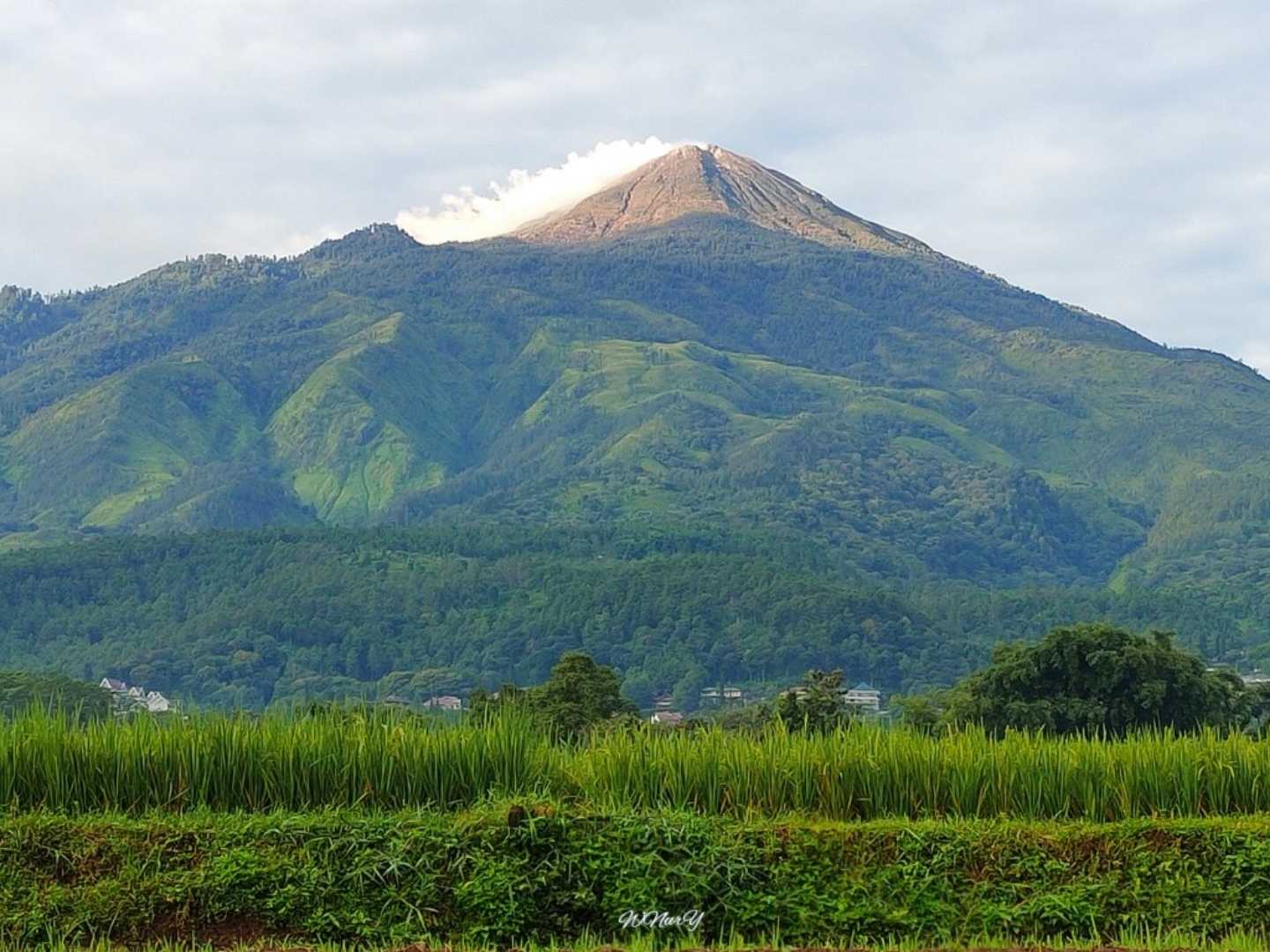 Gunung Welirang 