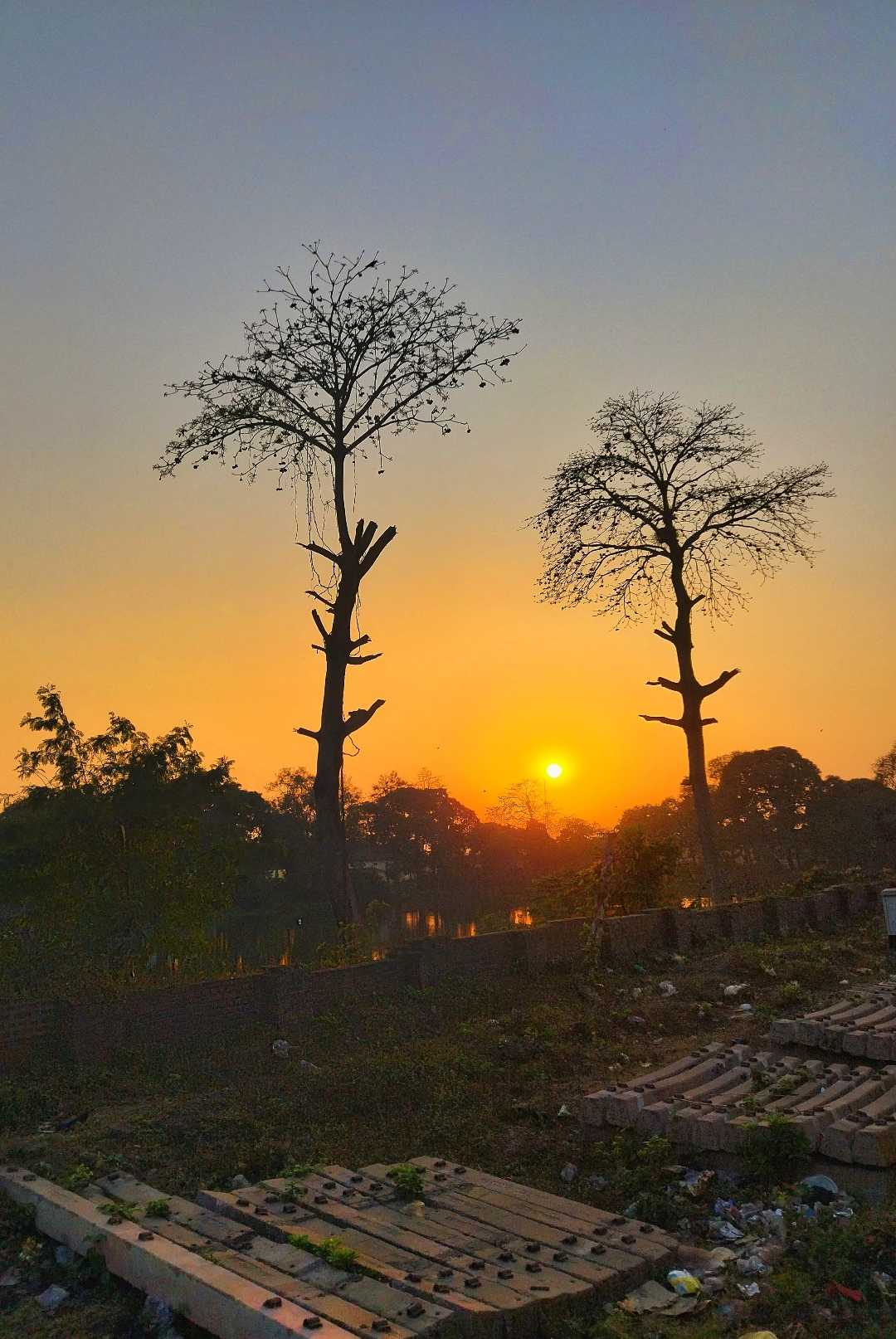 Sunset