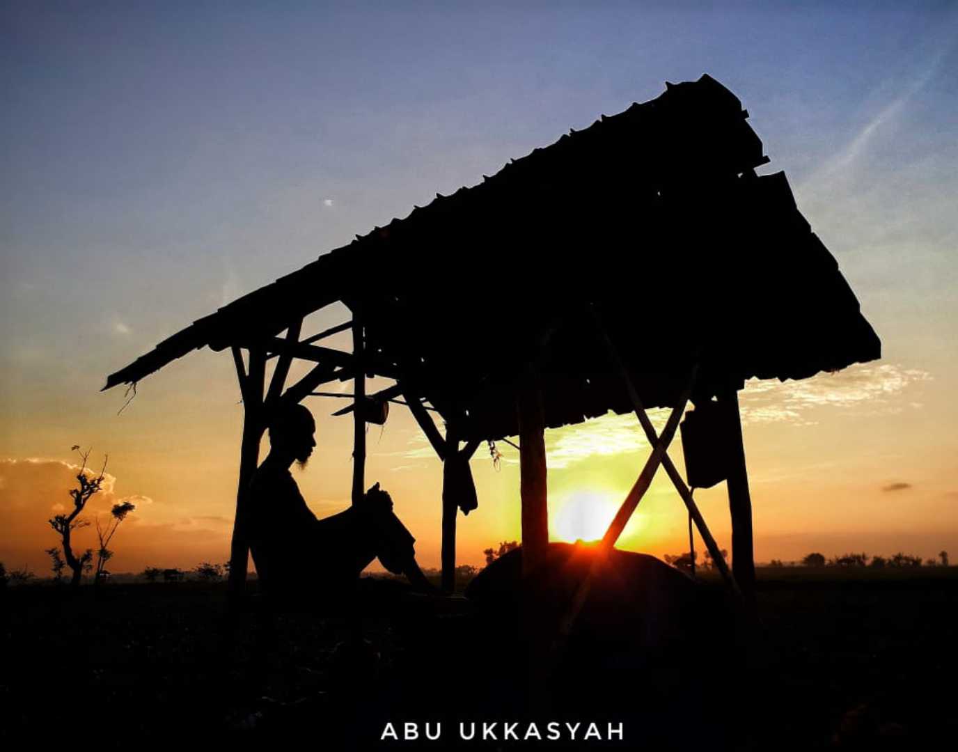 Gubuk sawah