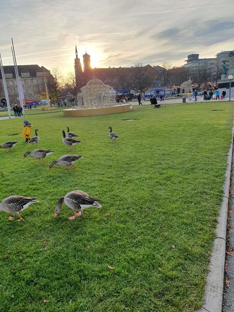 Schlossplatz Stuttgart