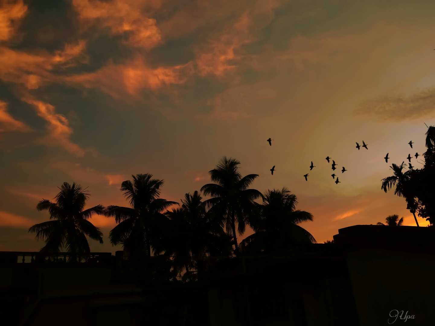 Dusk 