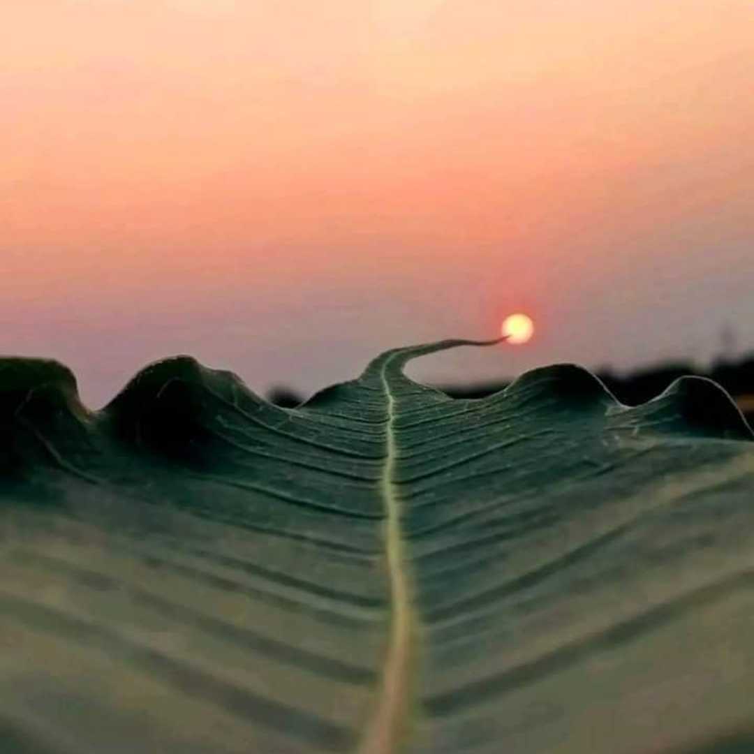 sunset visit