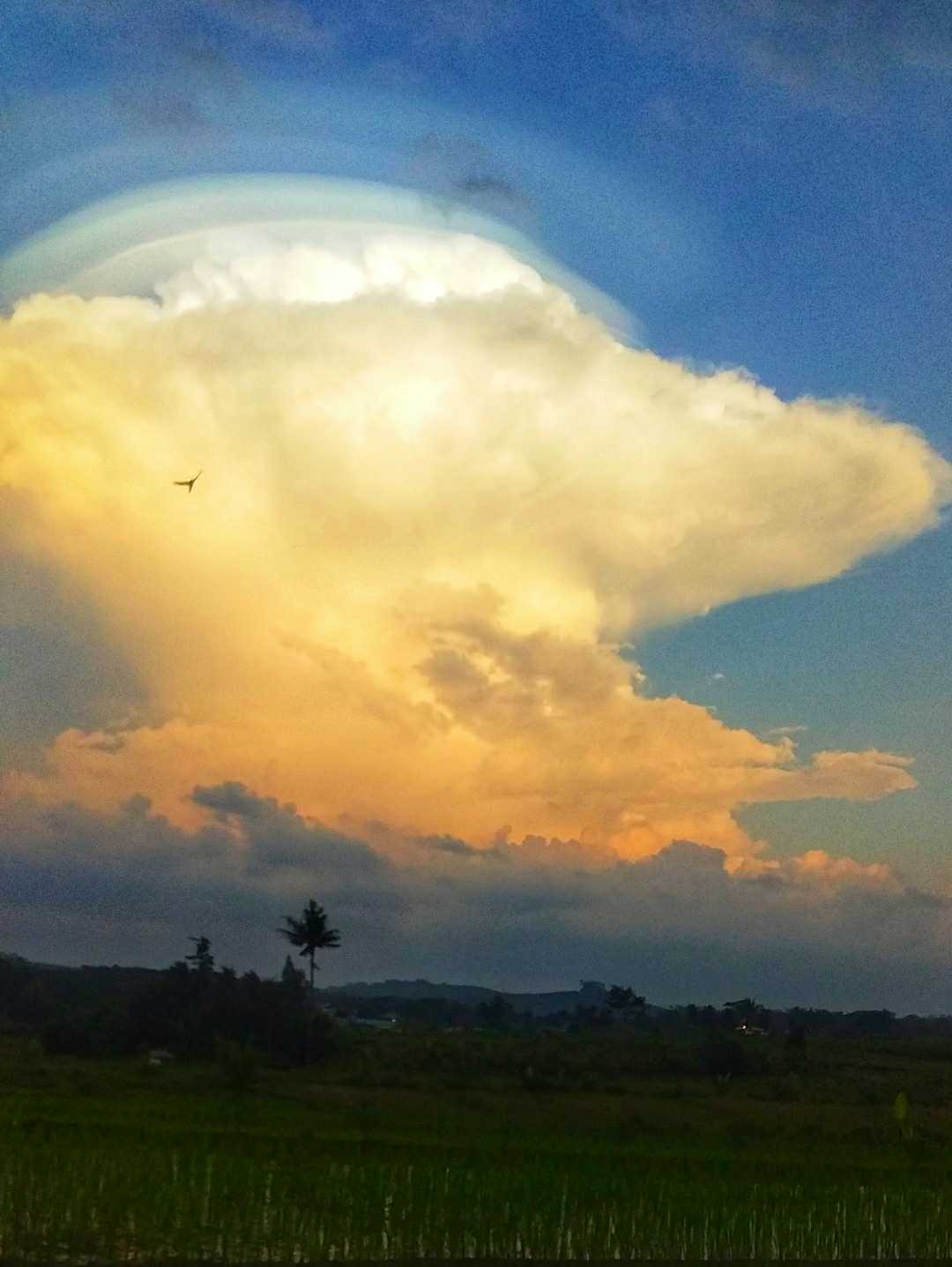 Sky in the afternoon