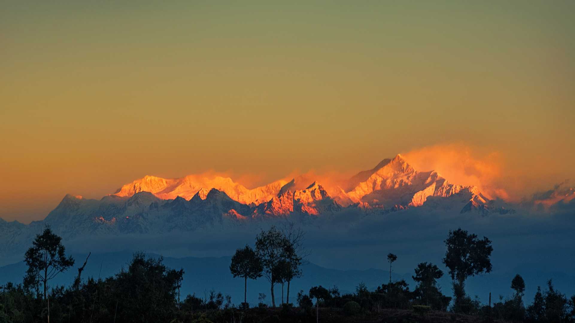 Golden Kanchanjangha