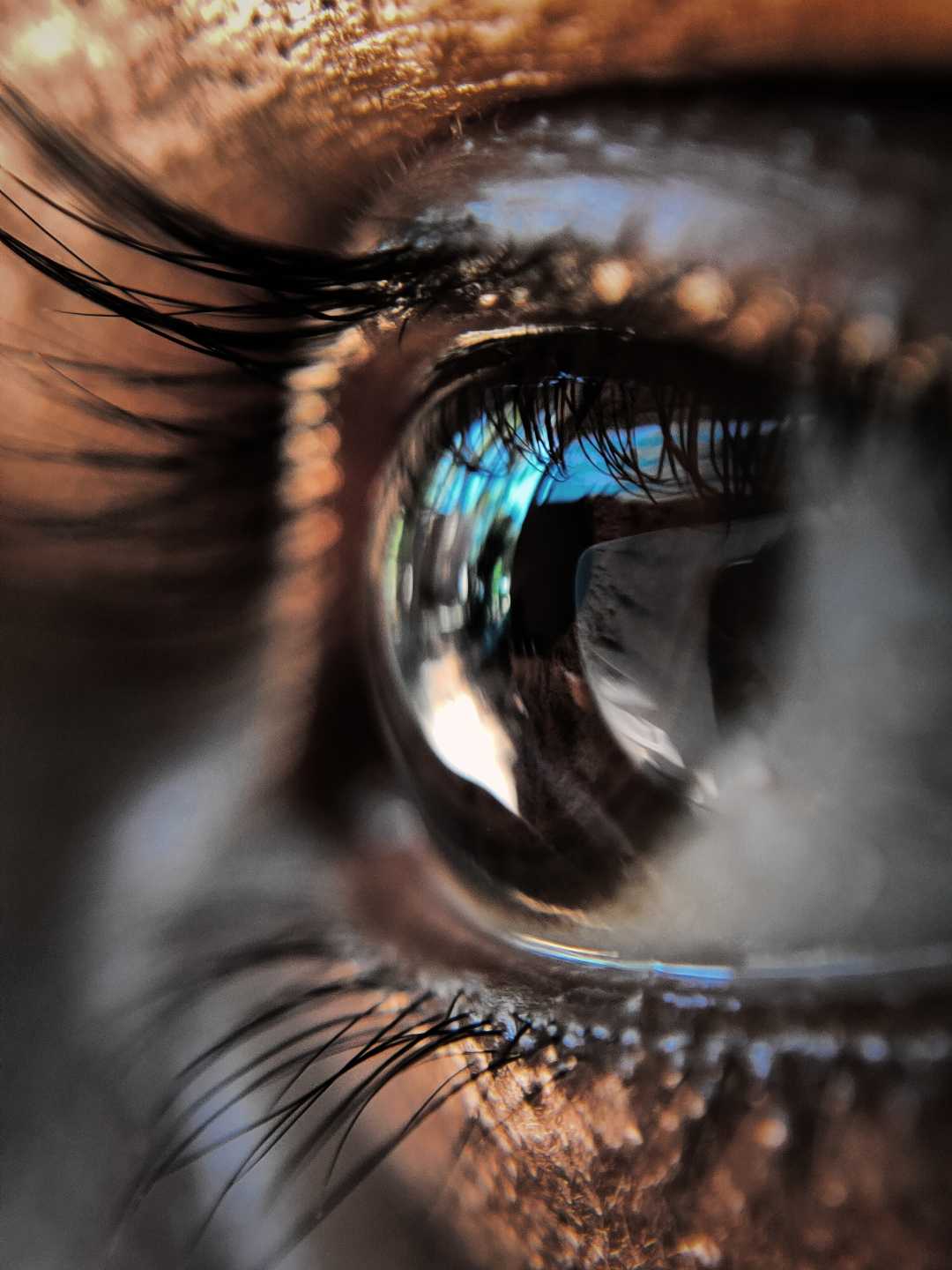 eyes