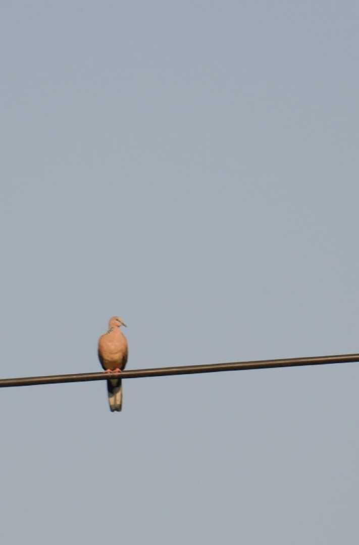 alone