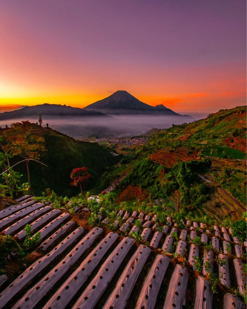 SUNRISE WADASPUTIH