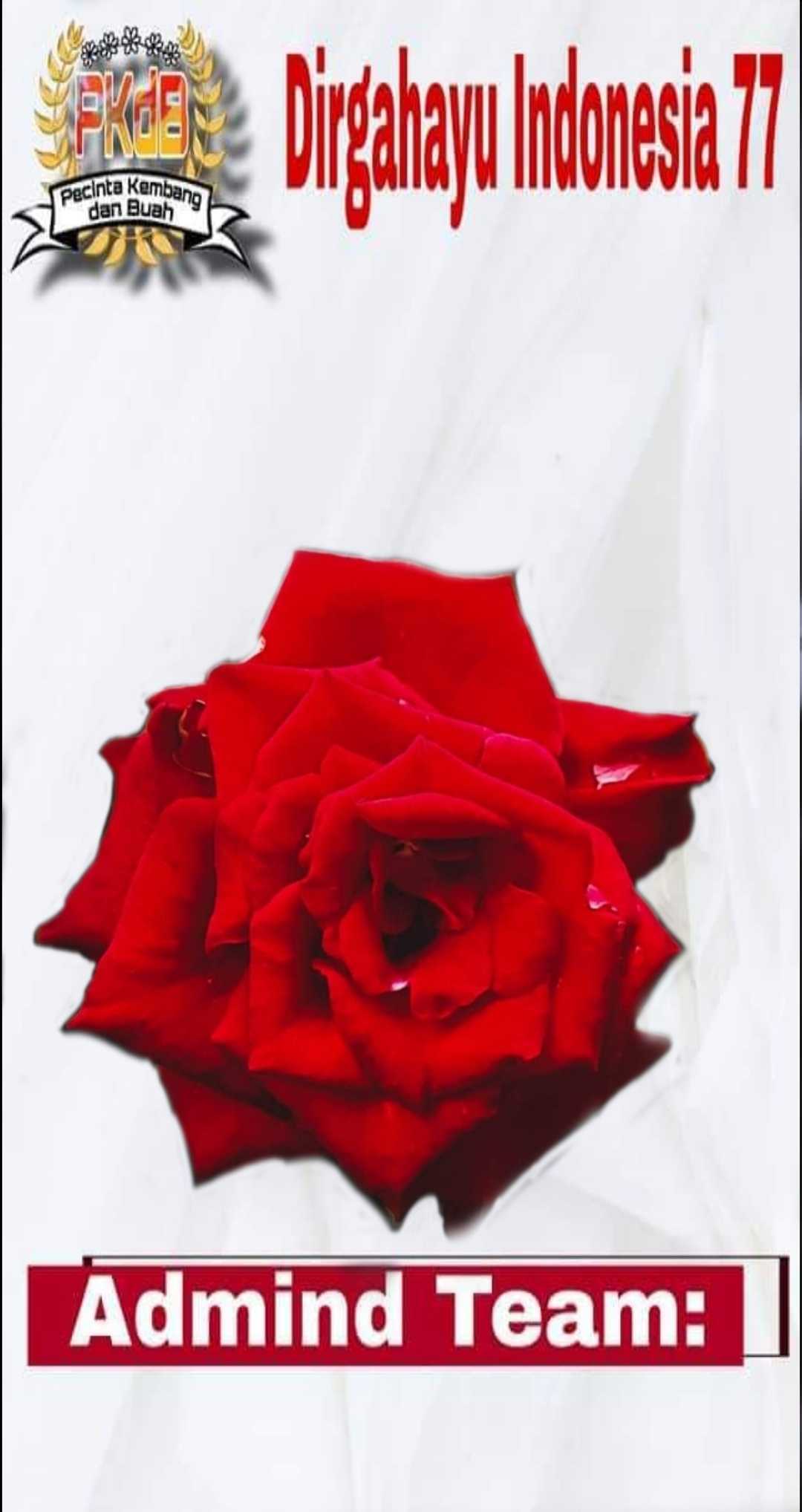mawar merah