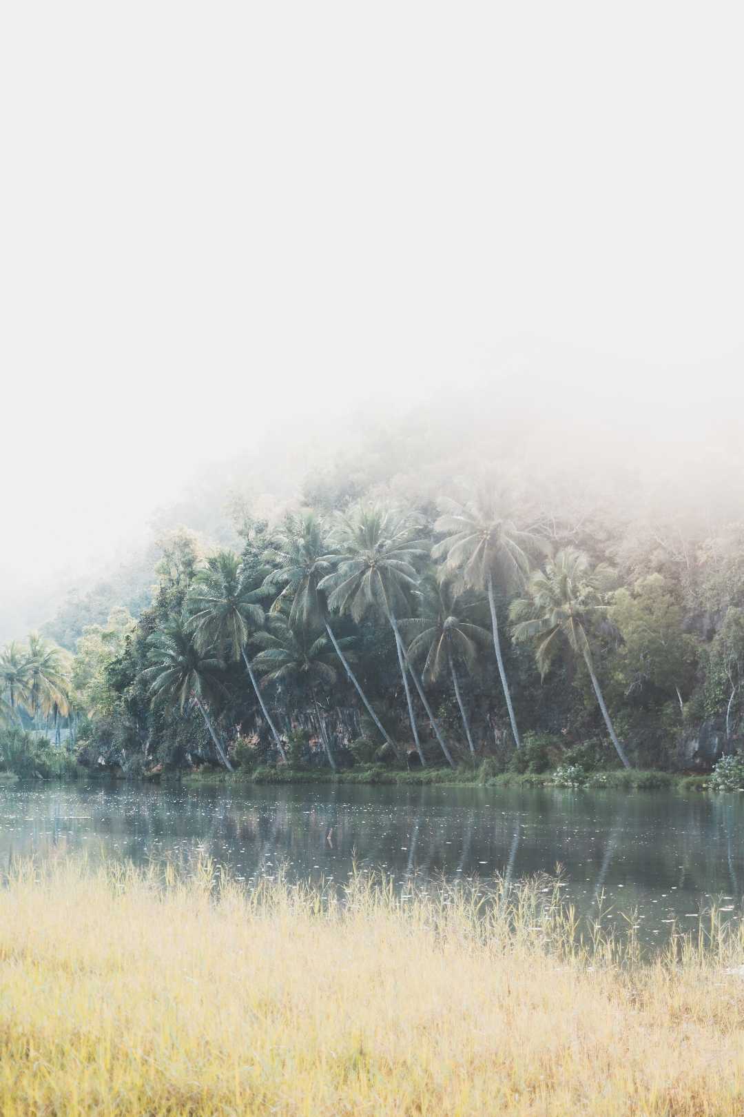 Muara Sungai Maron