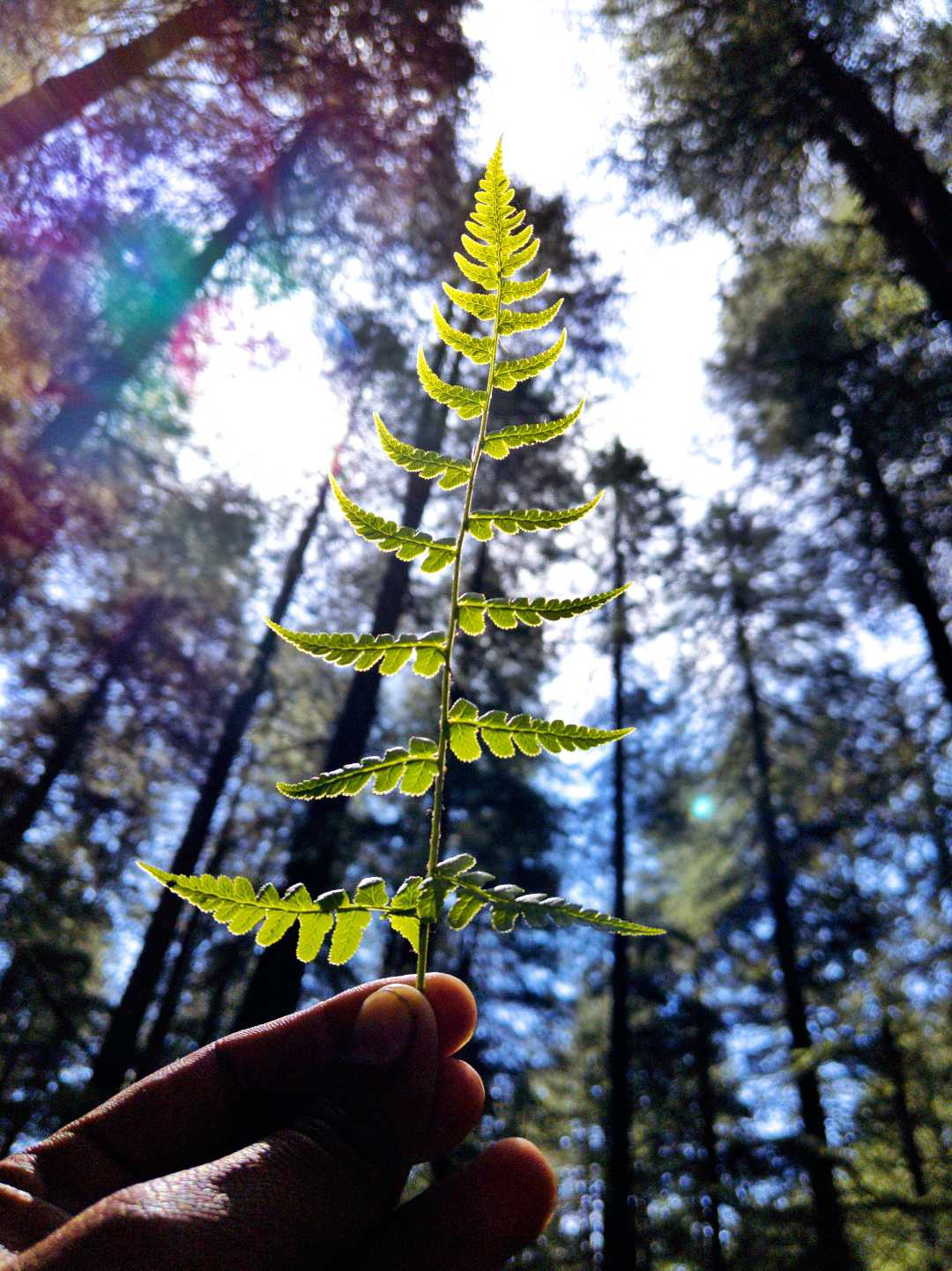 Nature Bliss ❤️