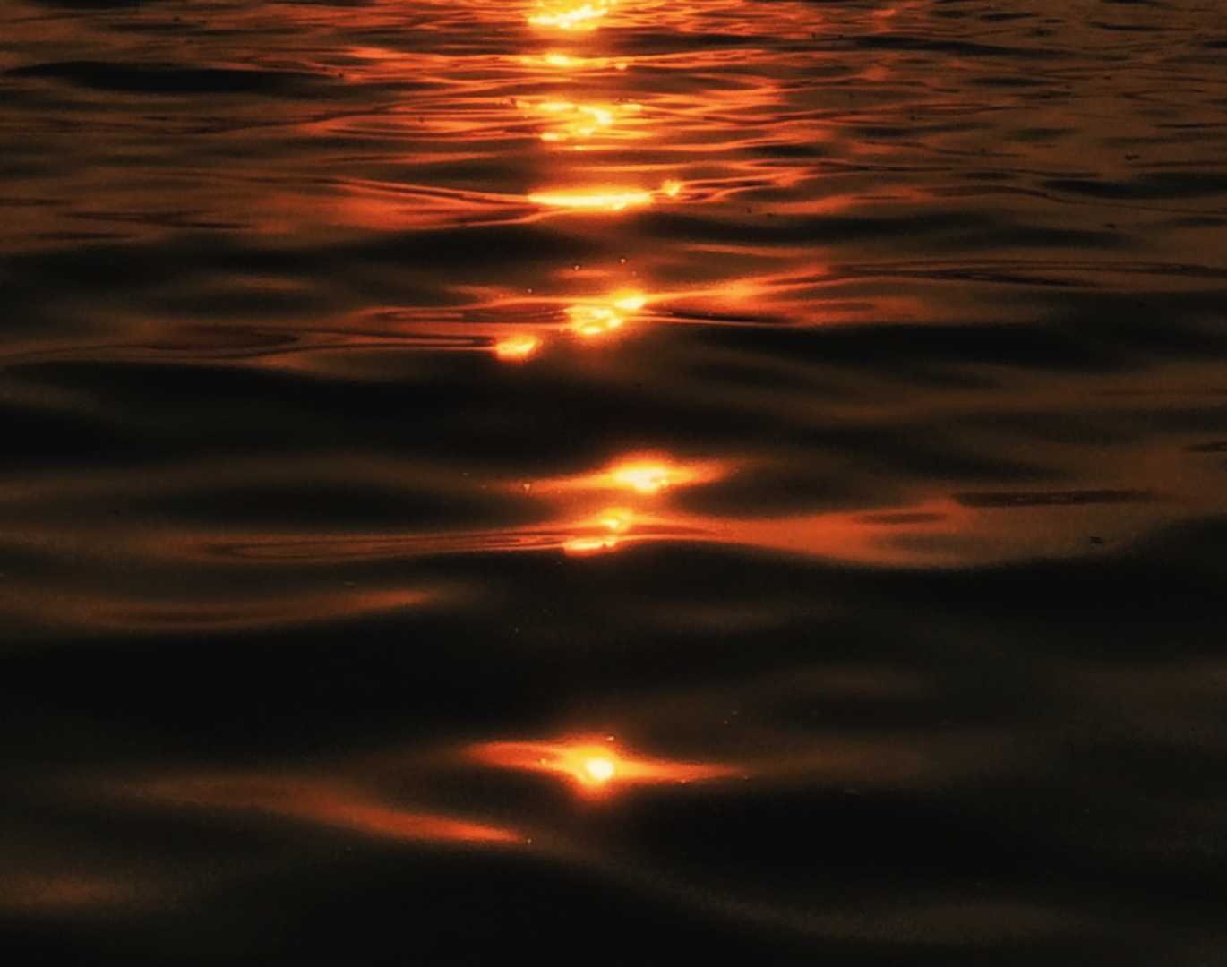 golden waves in Golden hour.