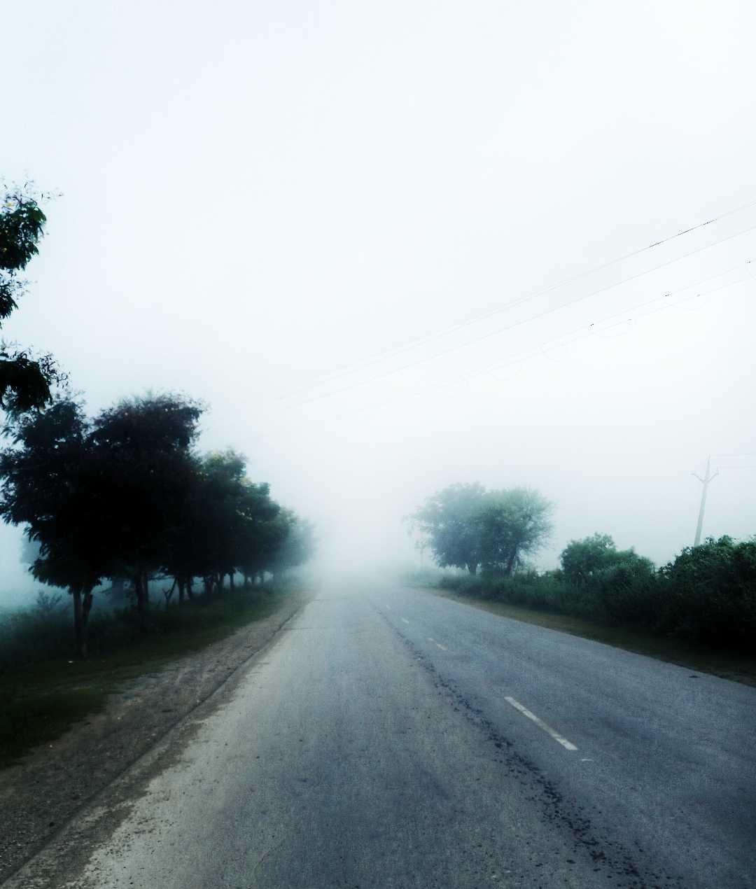 Foggy Morning 