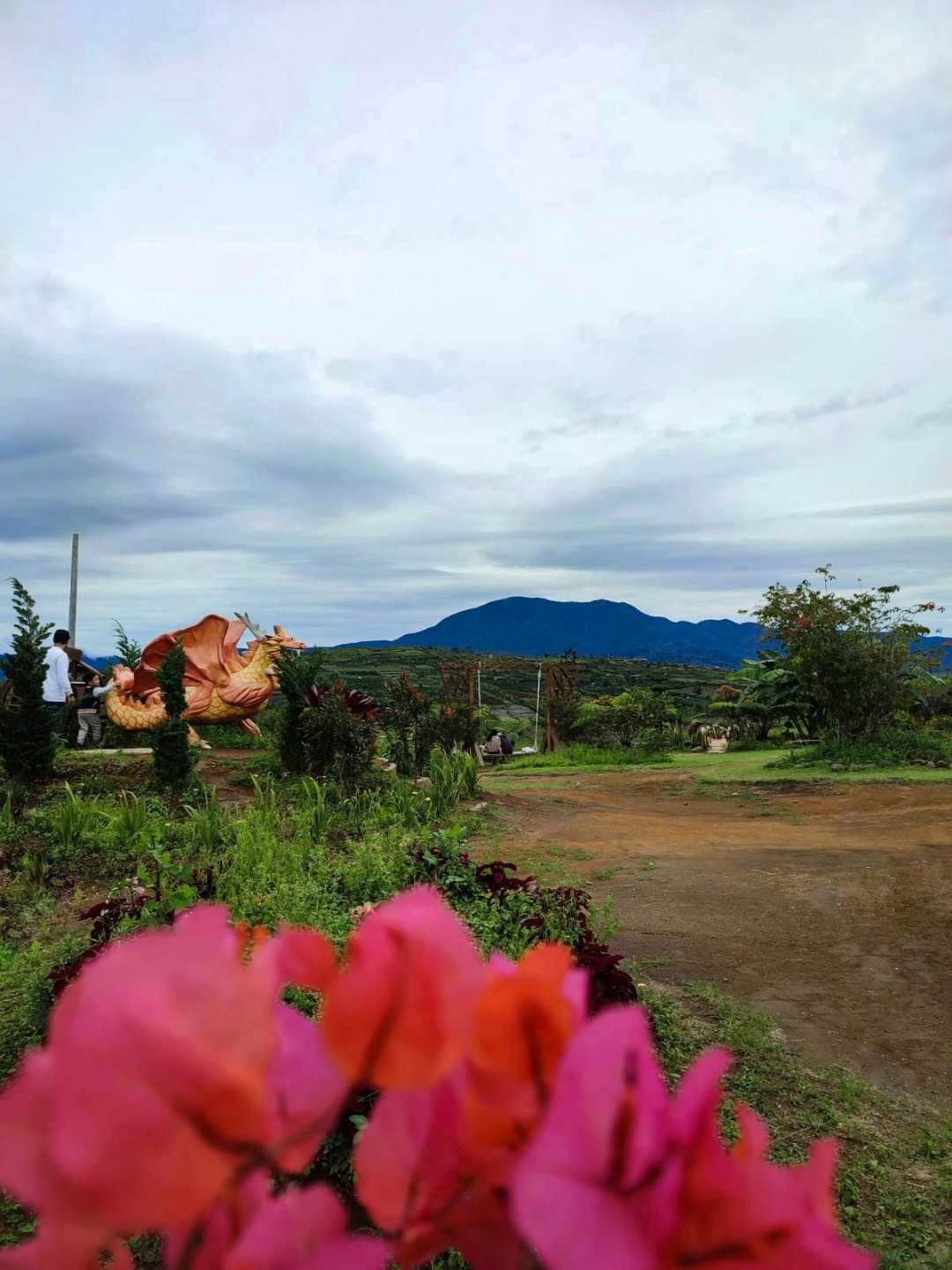 Foreground Photography... View Gunung Sinabung