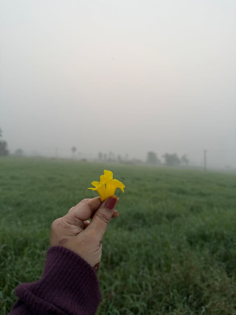 winter morning 💛