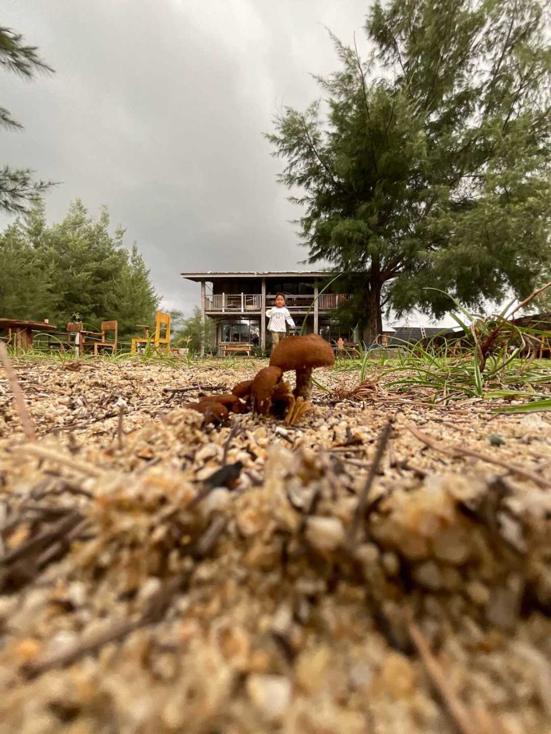 Nature