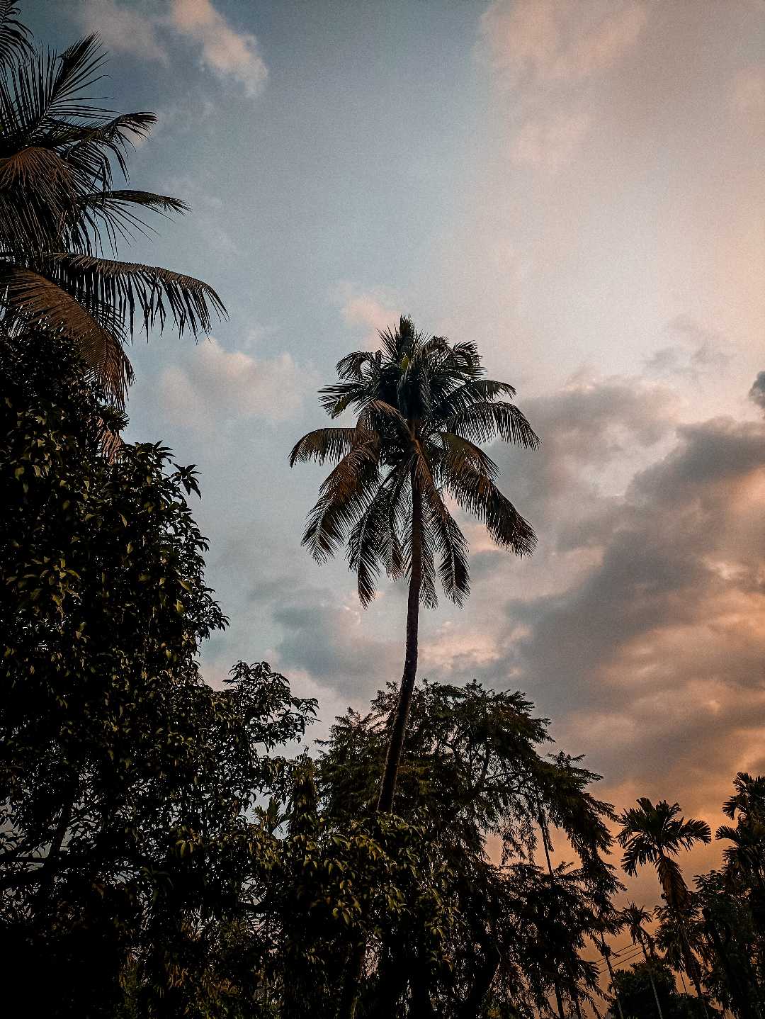 ❤️😍