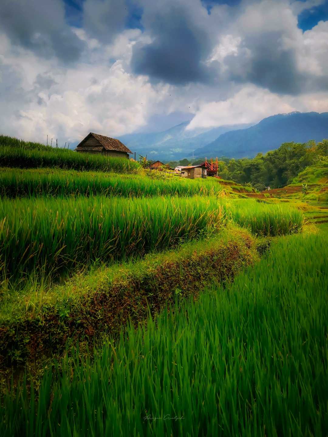 Terasiring Desa Selotapak 