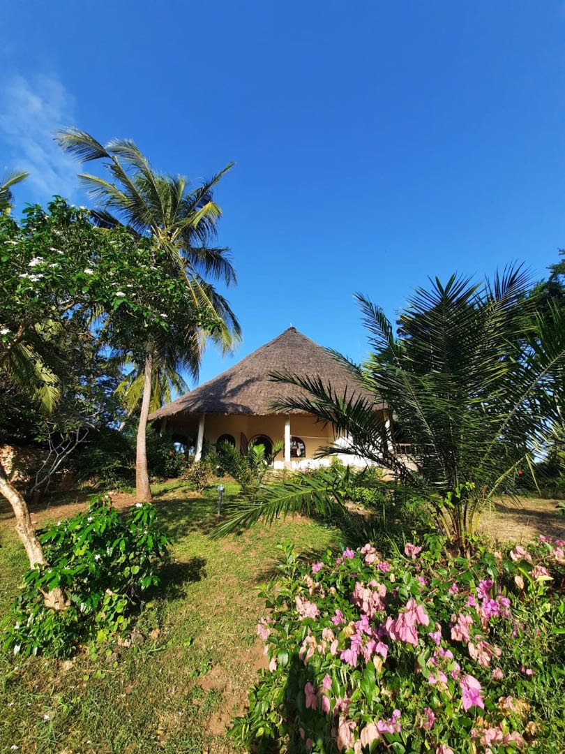 Indian Ocean 