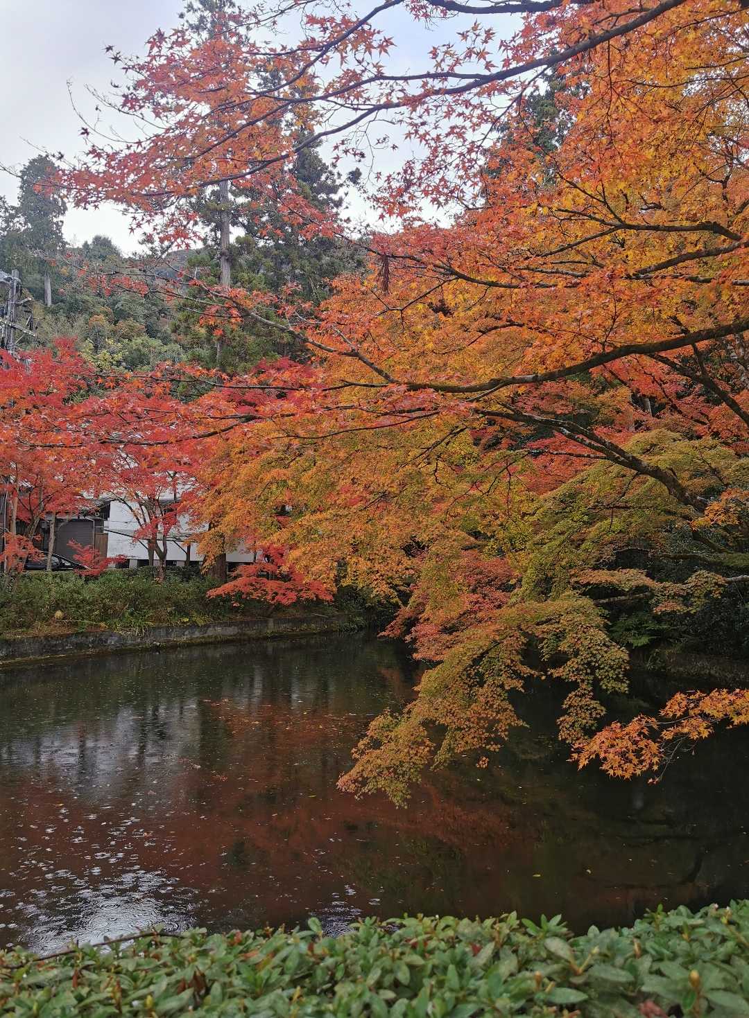 Kyoto