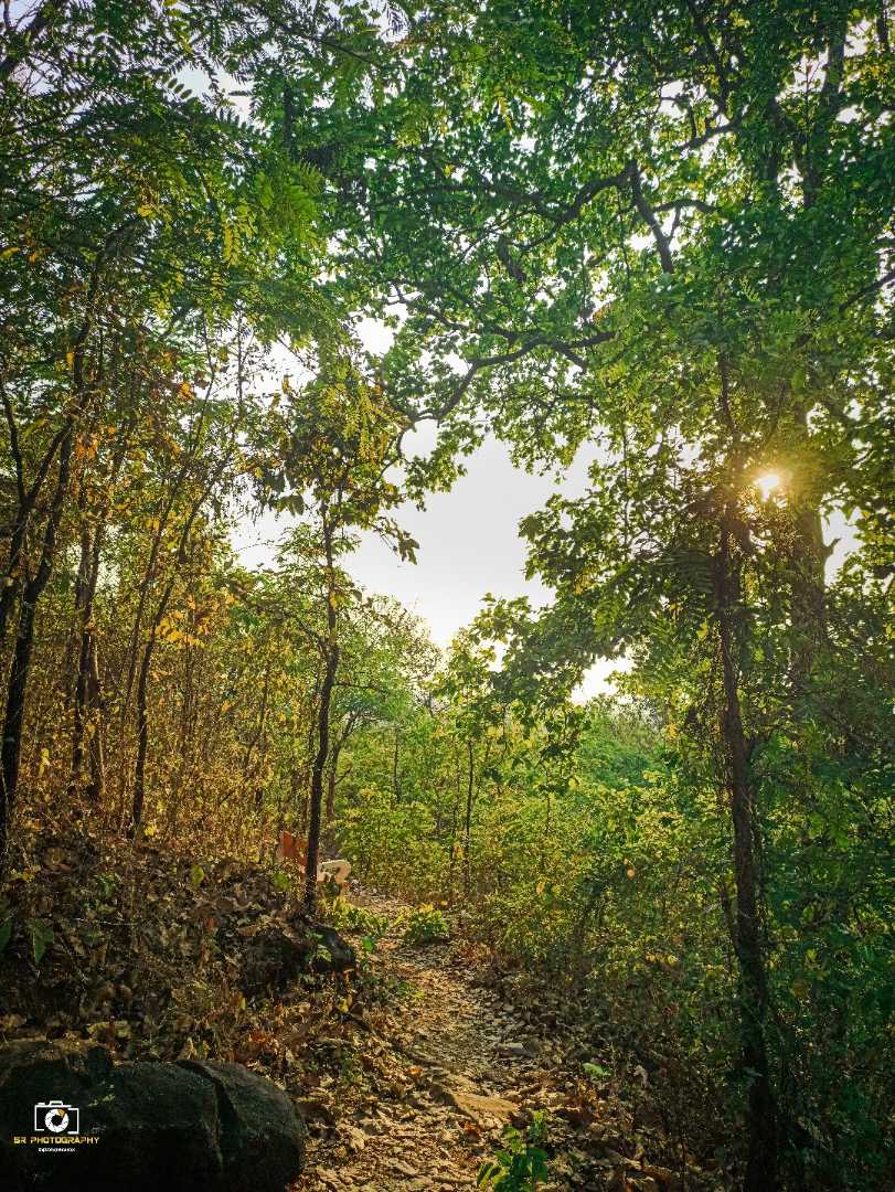 Jeypore Hill