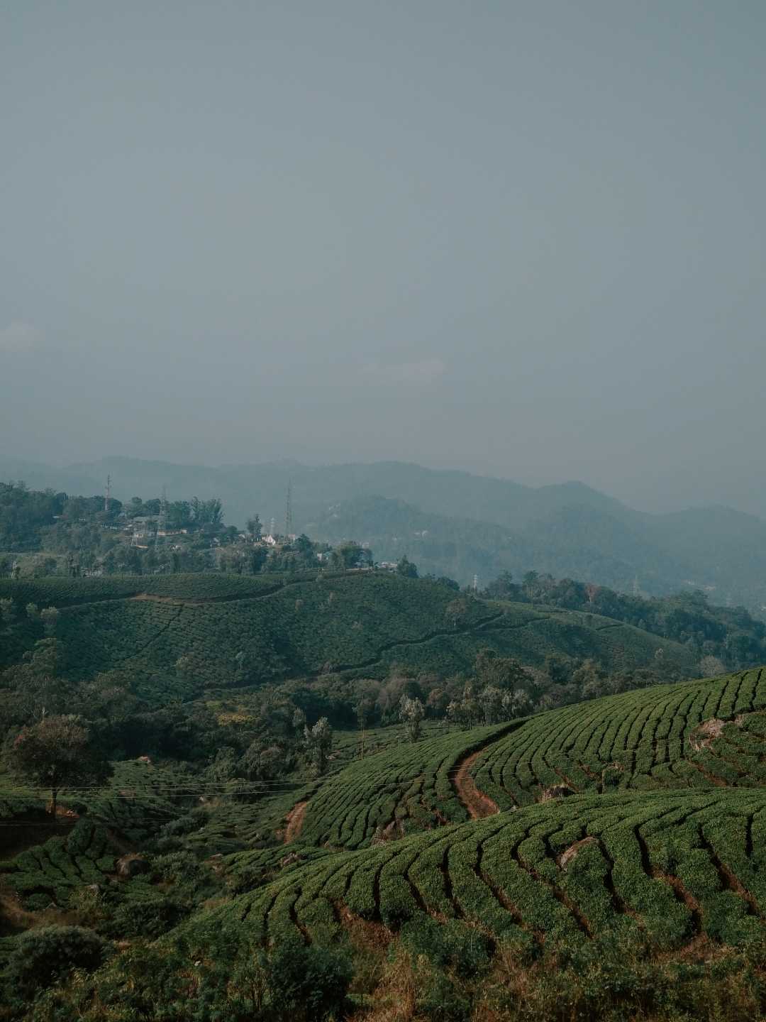 munnar hill station
