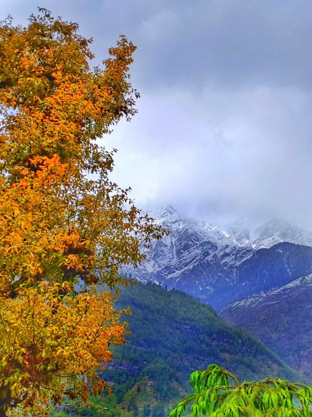 manali ❤️