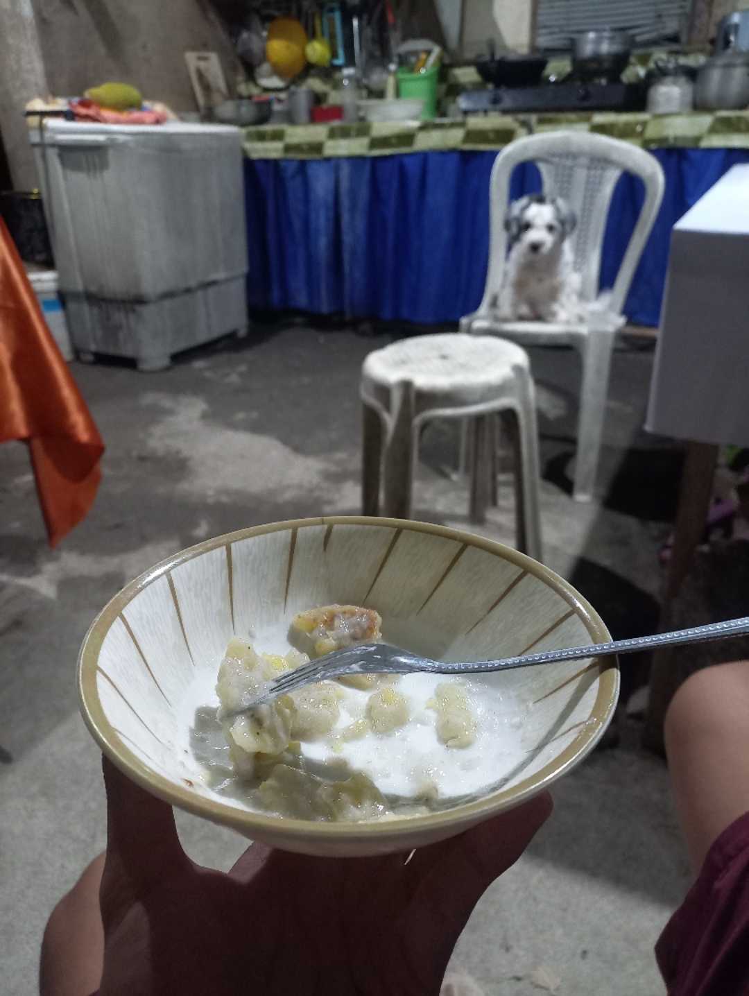 "PINAKRO NA BATAG"