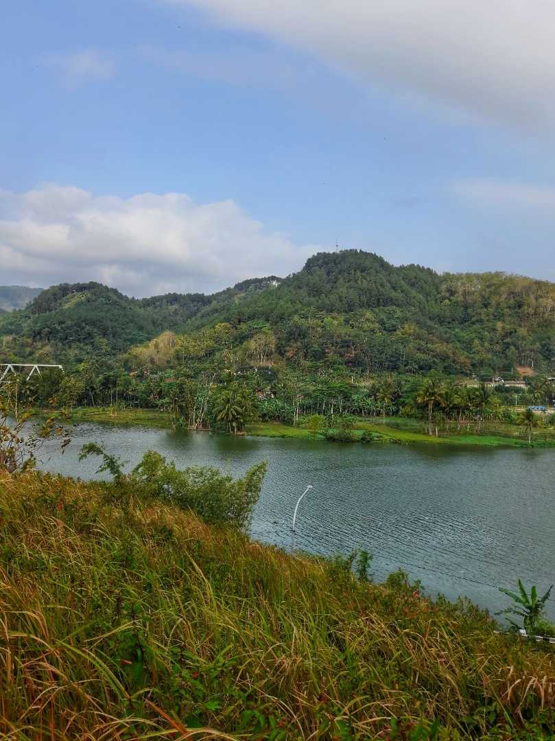 Green hill